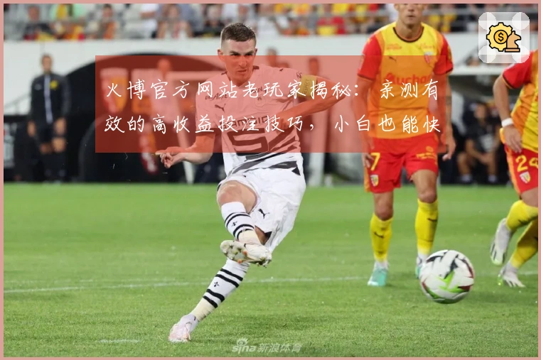 火博官方网站老玩家揭秘：亲测有效的高收益投注技巧，小白也能快速上手