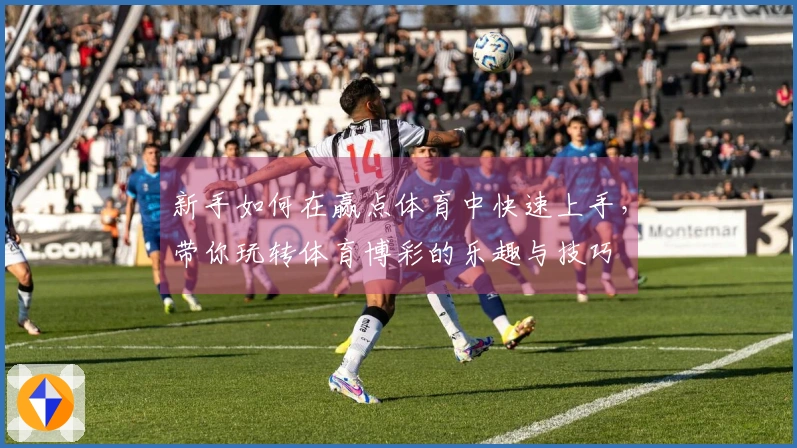 新手如何在赢点体育中快速上手，带你玩转体育博彩的乐趣与技巧