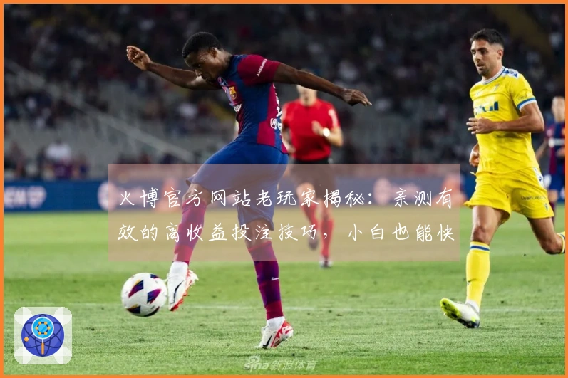 火博官方网站老玩家揭秘：亲测有效的高收益投注技巧，小白也能快速上手